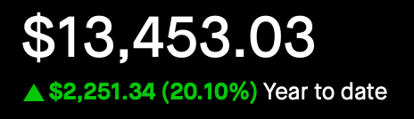 Portfolio - Year to Date - Feb 19, 2025