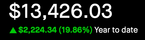 Portfolio - Year to Date - Feb 20, 2025