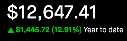 Portfolio - Year to Date - Feb 21, 2025