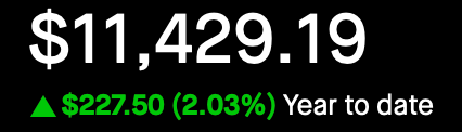 Portfolio - Year to Date - Feb 25, 2025 - Up 2.03%