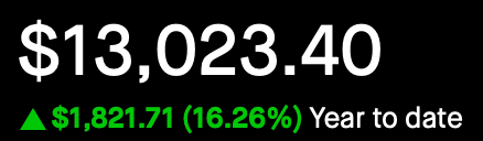 Portfolio - Year to Date - Feb 18, 2025
