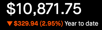 Portfolio - Year to Date - March 3, 2025 - Down 2.95%