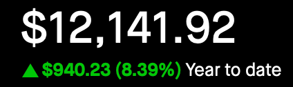 Portfolio - Year to Date - March 5, 2025 - Up 8.39%