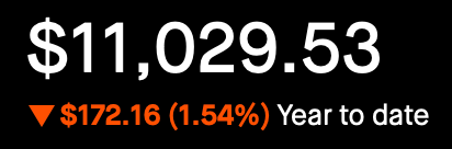 Portfolio - Year to Date - Feb 28, 2025 - Down 1.54%