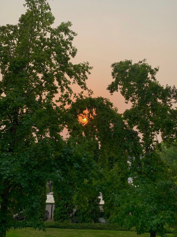 A sunset. Picture credit - me!