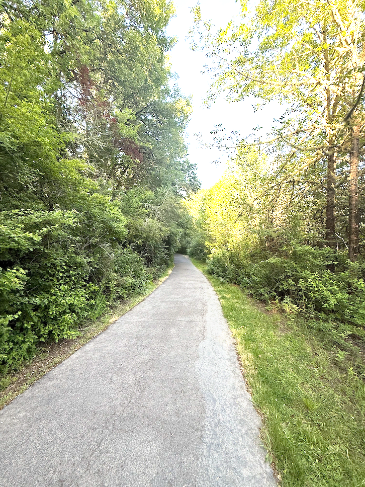 Same park as last week. Picture credit - me!