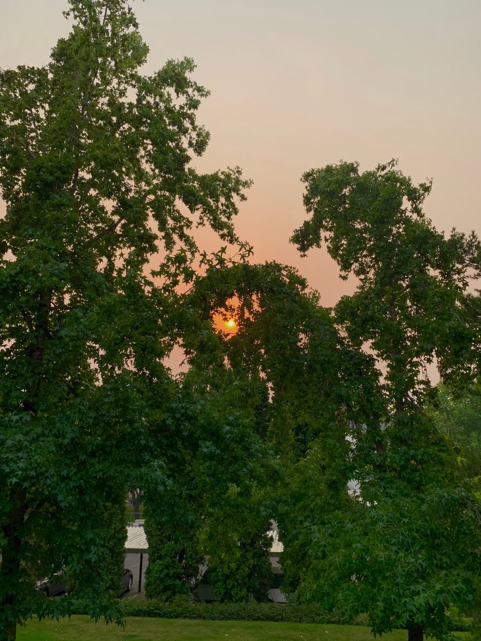 A sunset. Picture credit - me!