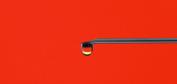 German Insurer BKK Provita Board Member Whistleblows the Covid Vaccination Fraud to Ministry of Health