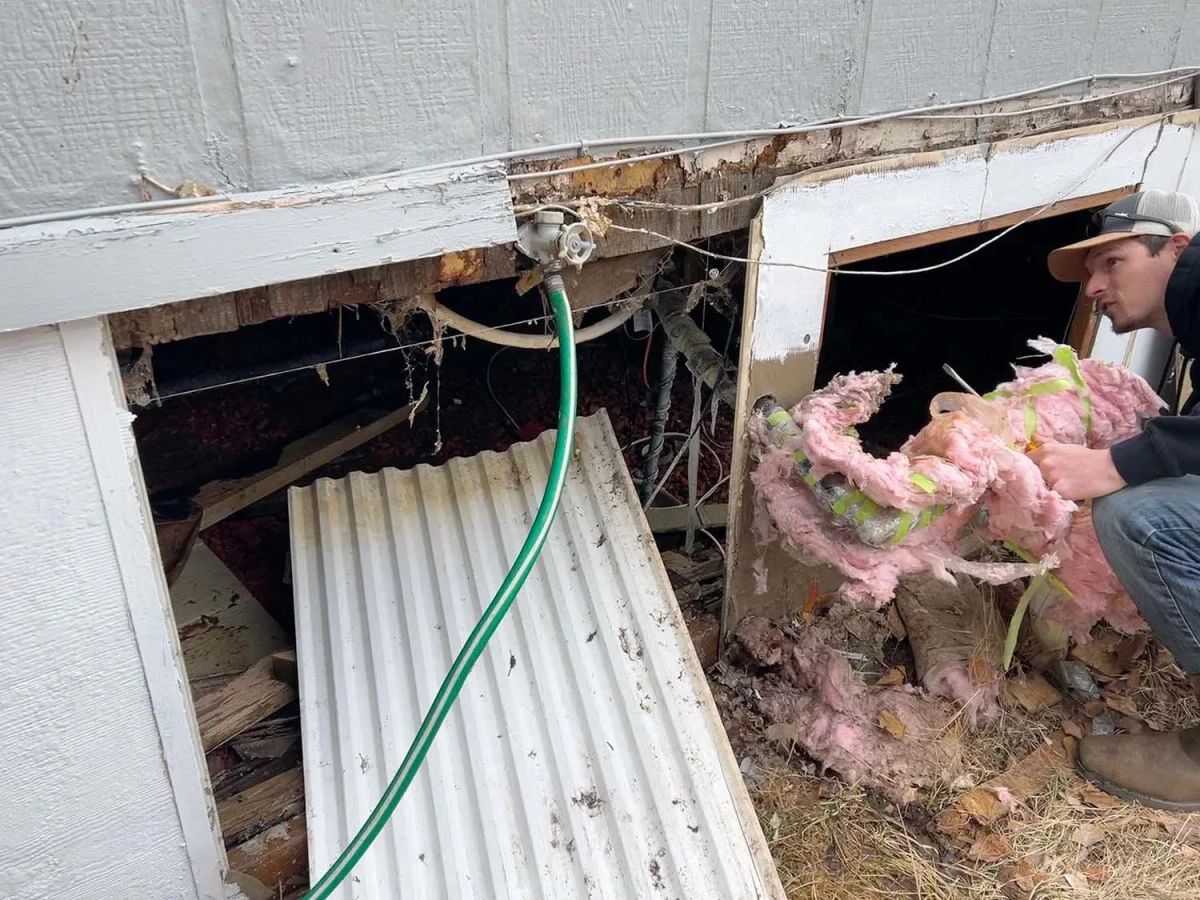 Spring Home Maintenance Tips