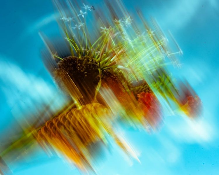 Feb 16-22:  Fate and the New Reality