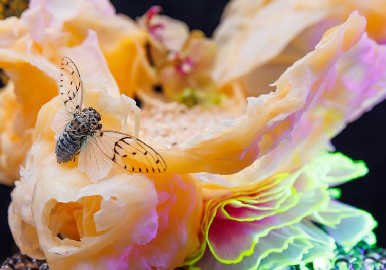 How Your Enneagram Type Changes, For Better and Worse