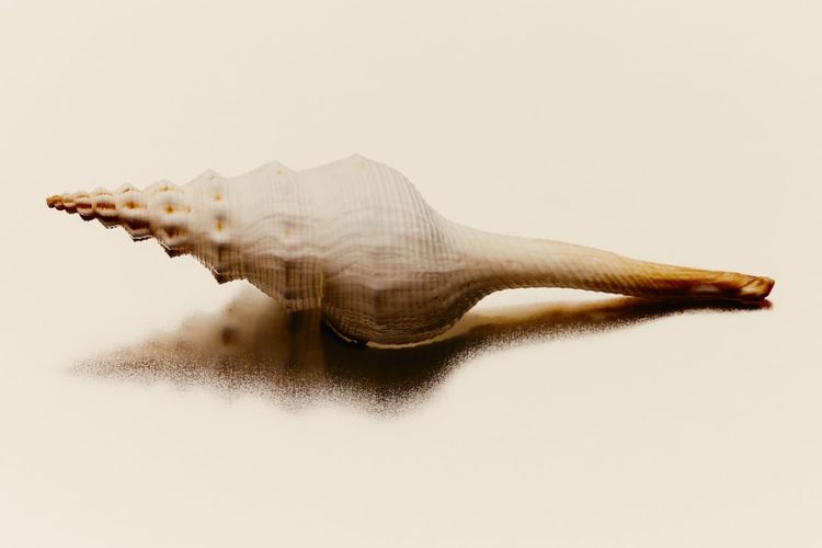 The Five Parts of Your Personality, According to Science