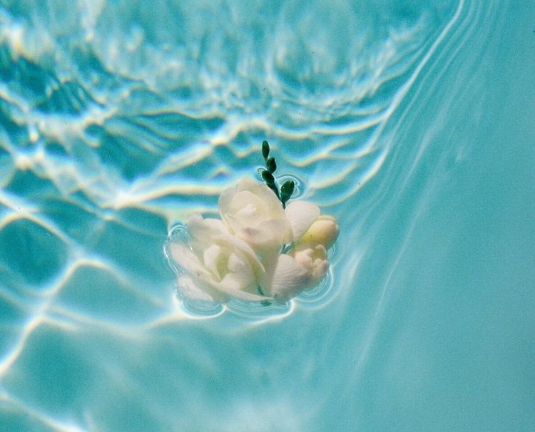 What is TextCeleste?