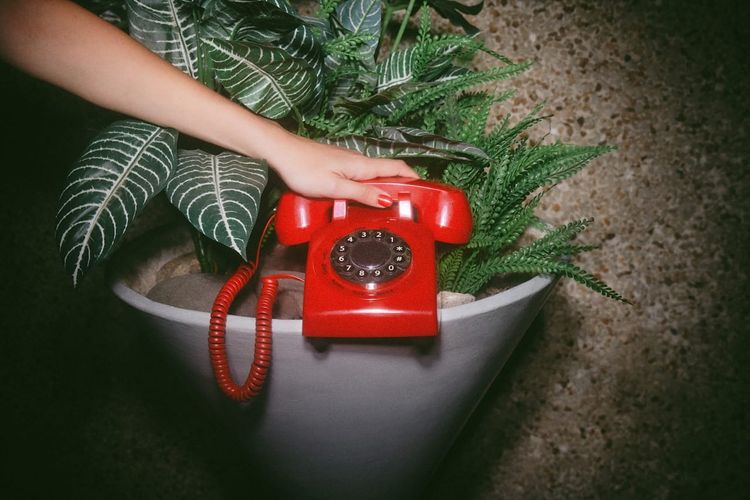 Aries Monthly Horoscope: May 2026