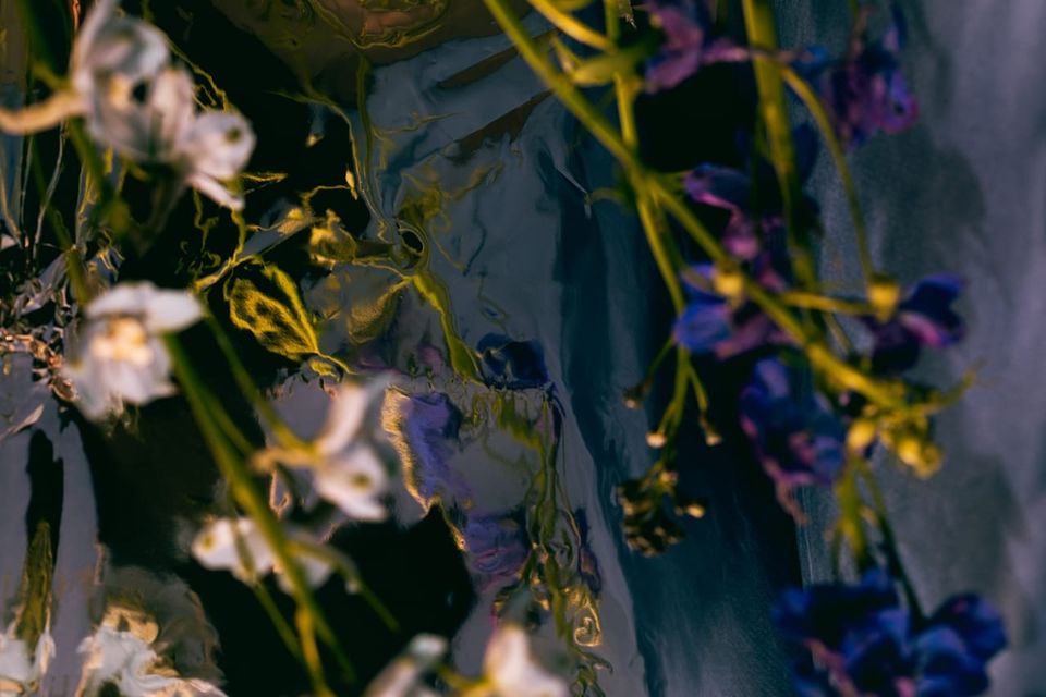 Understanding Your Birth Chart: Planetary Dignities