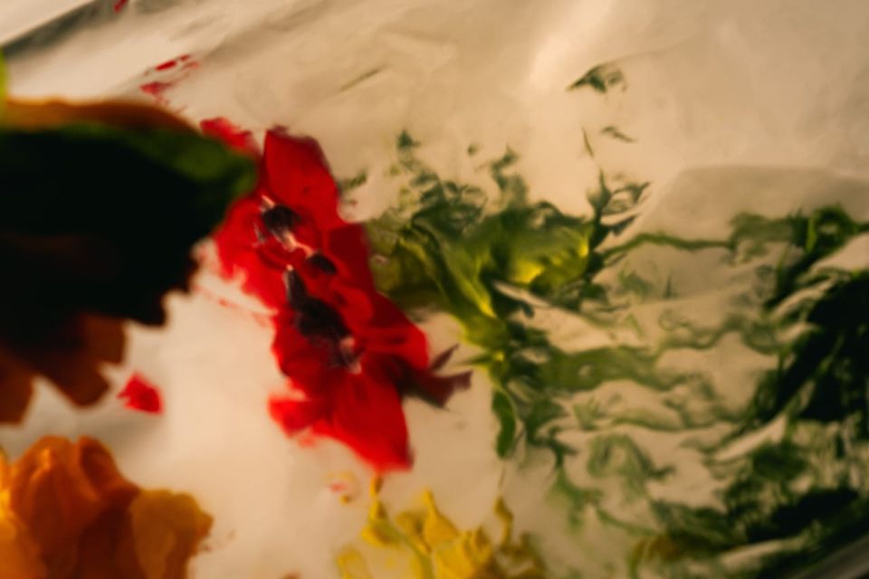 The Myers-Briggs Glossary: A Guide for the Perplexed