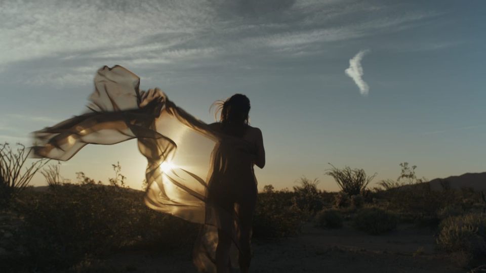 The Advocate: A Deep Dive into the INFJ Personality Type