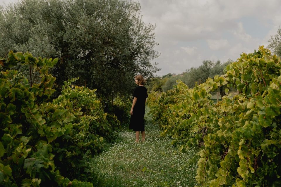 Virgo Monthly Horoscope: May 2026