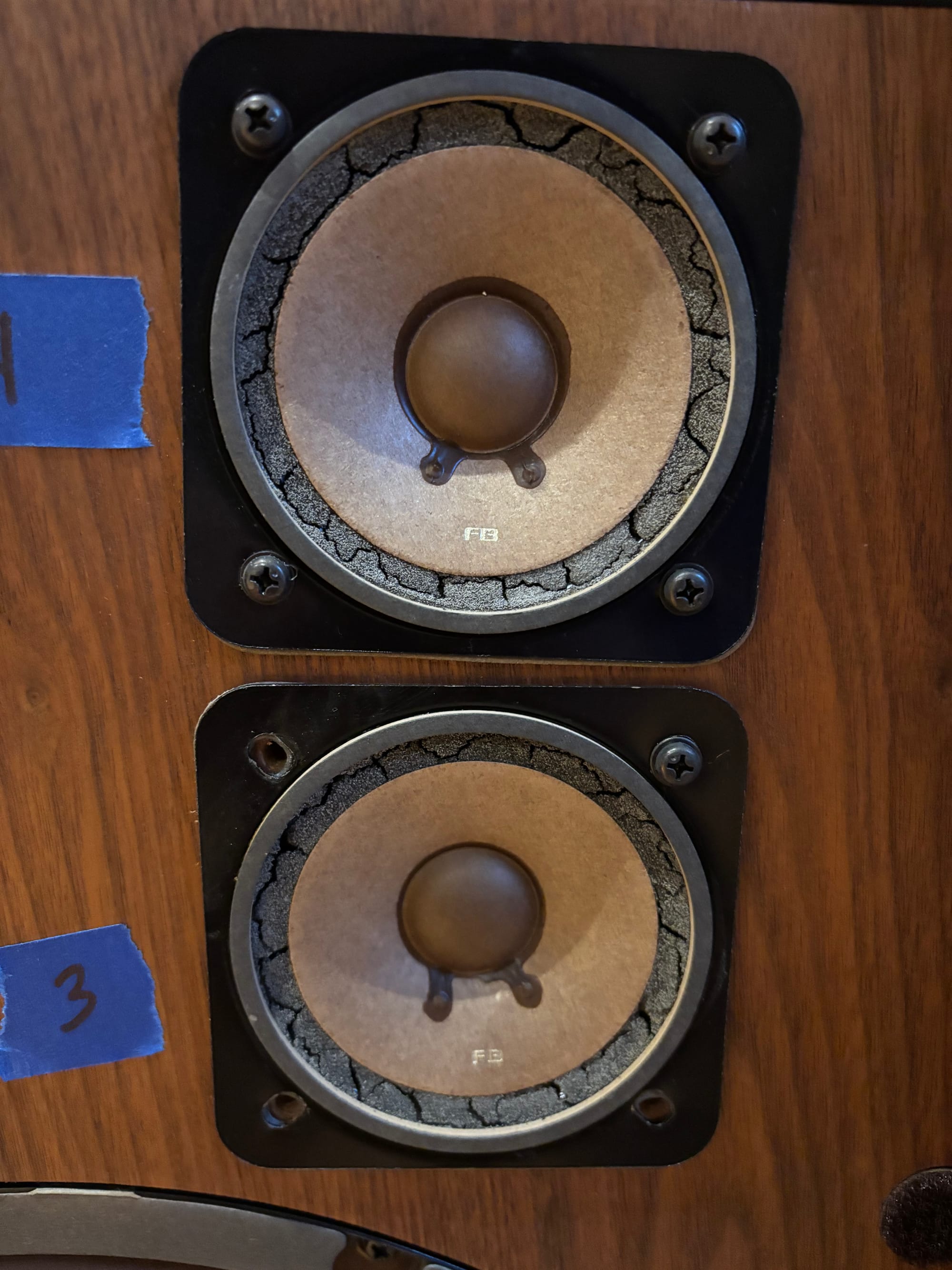 A closeup of the mid-range drivers on one speaker and their expired foam.