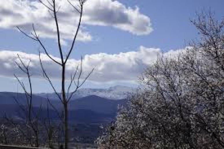 LIPI NAŠ RVATSKI O Župi i Rašćanima iz Imotske knjige autora Petra Gudelja