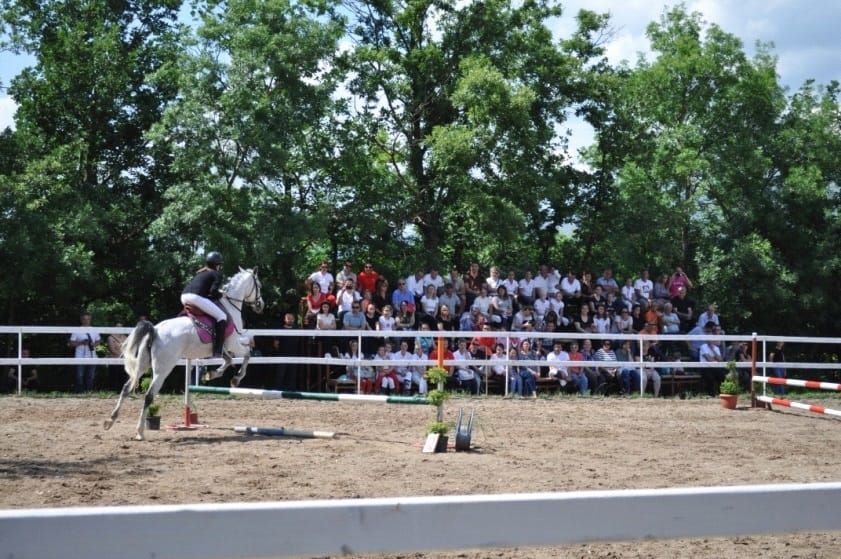 Senzacija za posjetitelje Konjičkog kluba Stina u Grudama