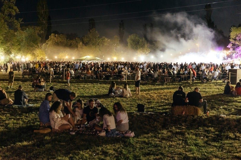 Tomo Matković: "Dođite, opustite se, ponesite dekicu i uživajte u čarima vinila na našoj Perinuši"