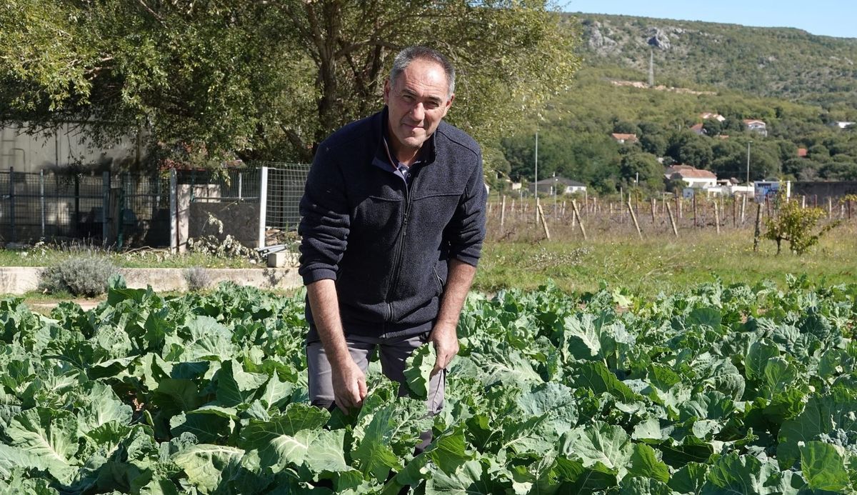 MATAN UND JARANEN Teo Klapirić govori o proizvodnji "rašćike"