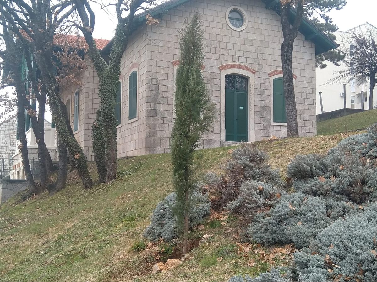 POSADI I BJEŽI: Botanički gerilac ispred muzeja ilegalno posadio osam stabala