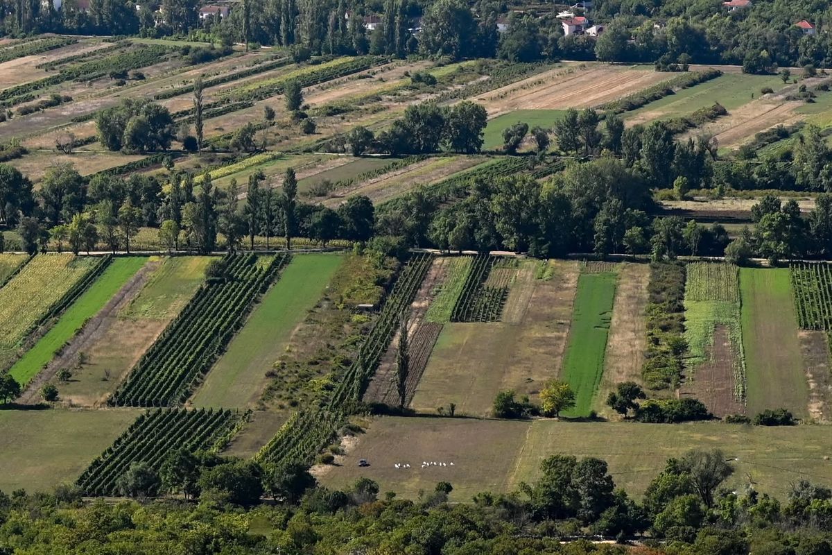 Matan und jaranen - infrastrukturne vijesti i aktualni natječaji