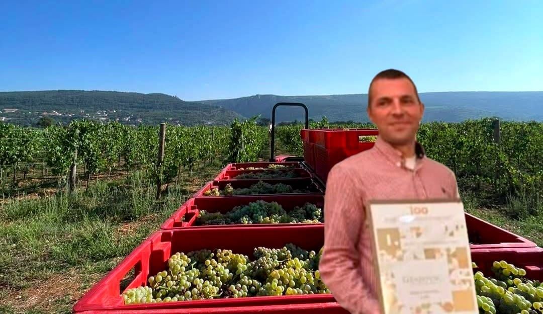 Matan und jaranen: Kakva je ovogodišnja jematva? Milan Grabovac otkrio kakvo nas vino očekuje