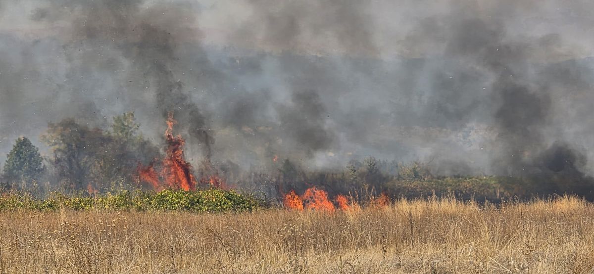 FOTO Gori u Imotskom polju: Veliki požar između bivše Vinarije, Luga i Šumeta