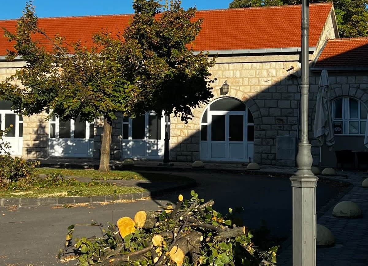 BURNE REAKCIJE U PROLOŠCU: HDZ prozvao zbog uklanjanja lipa s Trga dr. Franje Tuđmana