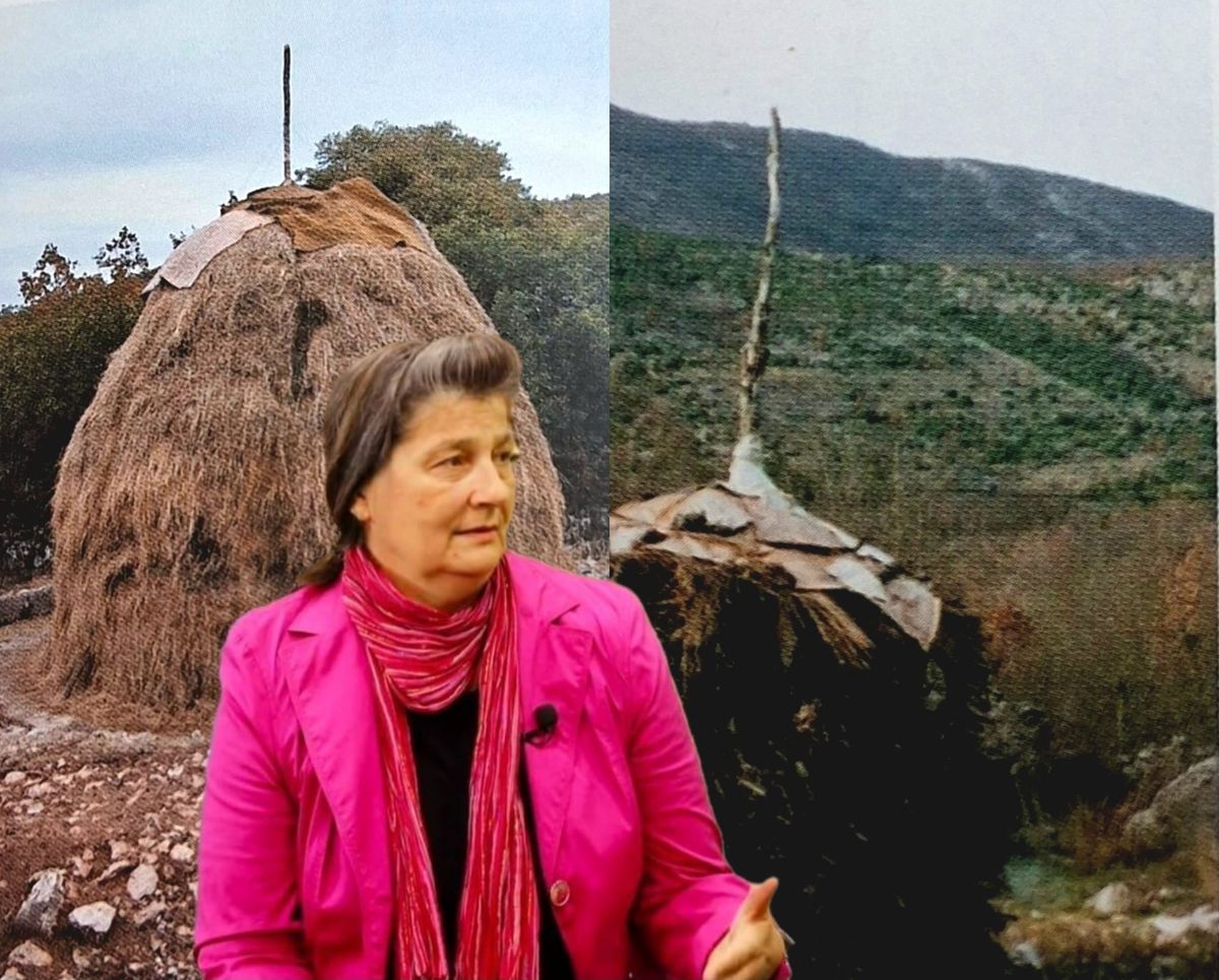 Priča o "lišnjaku", "plastu" i našim stablima – znakovima identiteta: Sjećanja na život i tradiciju Slivna