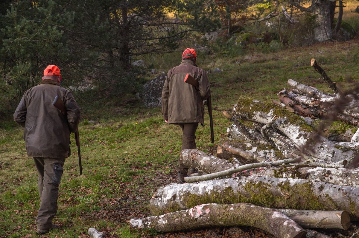 Sutra počinje lovna sezona: Lovačka udruga "Imotska krajina" poziva na poseban oprez