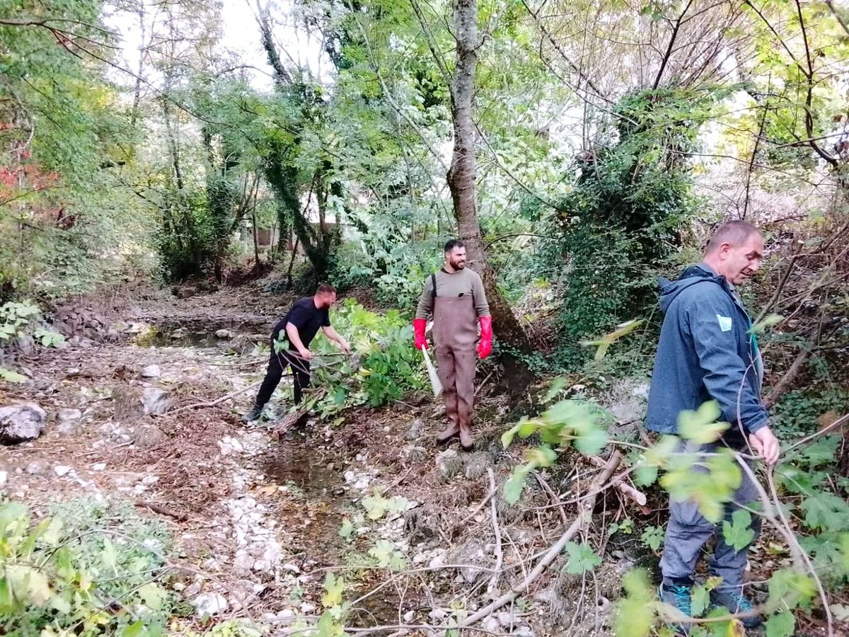 FOTO Velika akcija čišćenja rijeke Vrljike: Uklanja se višak vegetacije, slijedi i akcija ronilaca
