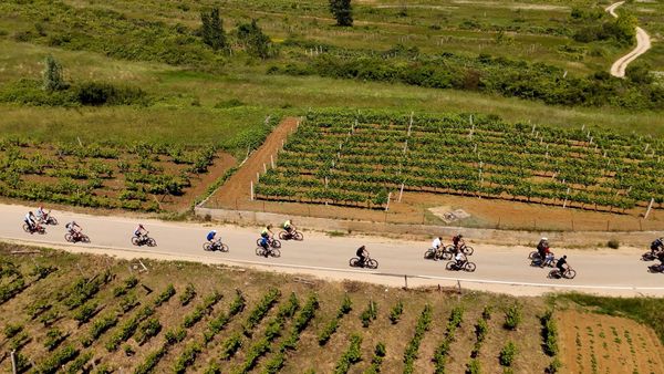 FOTO/VIDEO Uspješno održana sedma biciklijada Imota Bike & Wine