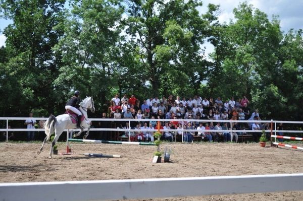 Senzacija za posjetitelje Konjičkog kluba Stina u Grudama