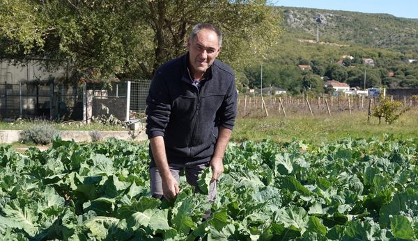 MATAN UND JARANEN Teo Klapirić govori o proizvodnji "rašćike"