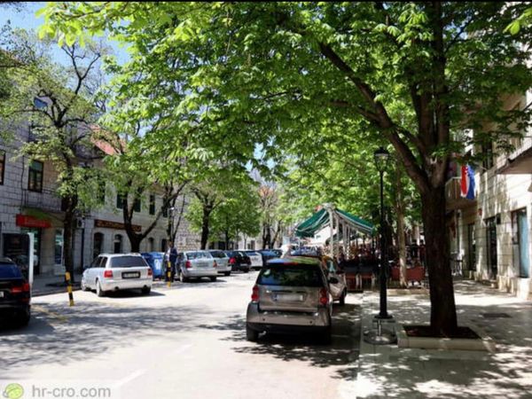 Počinje jesenska deratizacija i dezinsekcija Imotskog – evo što građani trebaju znati