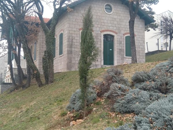 POSADI I BJEŽI: Botanički gerilac ispred muzeja ilegalno posadio osam stabala