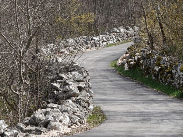 ŠKRINJA O kamenu, svitnjacima i legendi o Prokletoj Turiji s Dragicom Zeljko - Selak