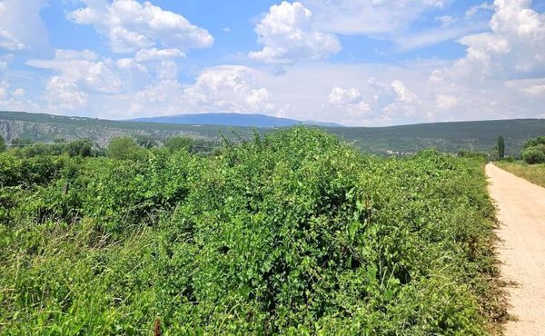 Novi projekt za Općinu Proložac: Ministarstvo odobrilo 40.600 eura za nerazvrstane ceste