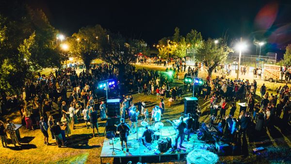 FOTO Tisuće posjetitelja, odlična atmosfera i pobjednica u lovu na žabu: Zmijavci još jednom oduševili Žabarskom večeri
