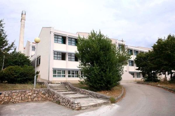 Svi anketirani maturanti upisali fakultet: Besplatne pripreme pokazale se korisnima