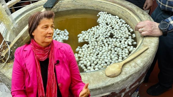 Škrinja: Jesensko divlje voće i dudov svilac, poslušajte priču Dragice Zeljko-Selak