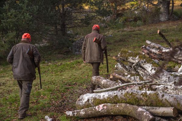 Sutra počinje lovna sezona: Lovačka udruga "Imotska krajina" poziva na poseban oprez