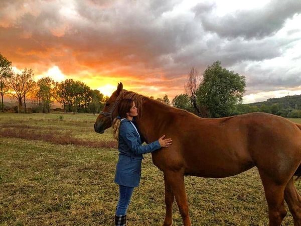 Anđela se vratila u Imotski i svoj život posvetila konjima: Poslušajte kako je nastala posebna priča Ranča Medvidović