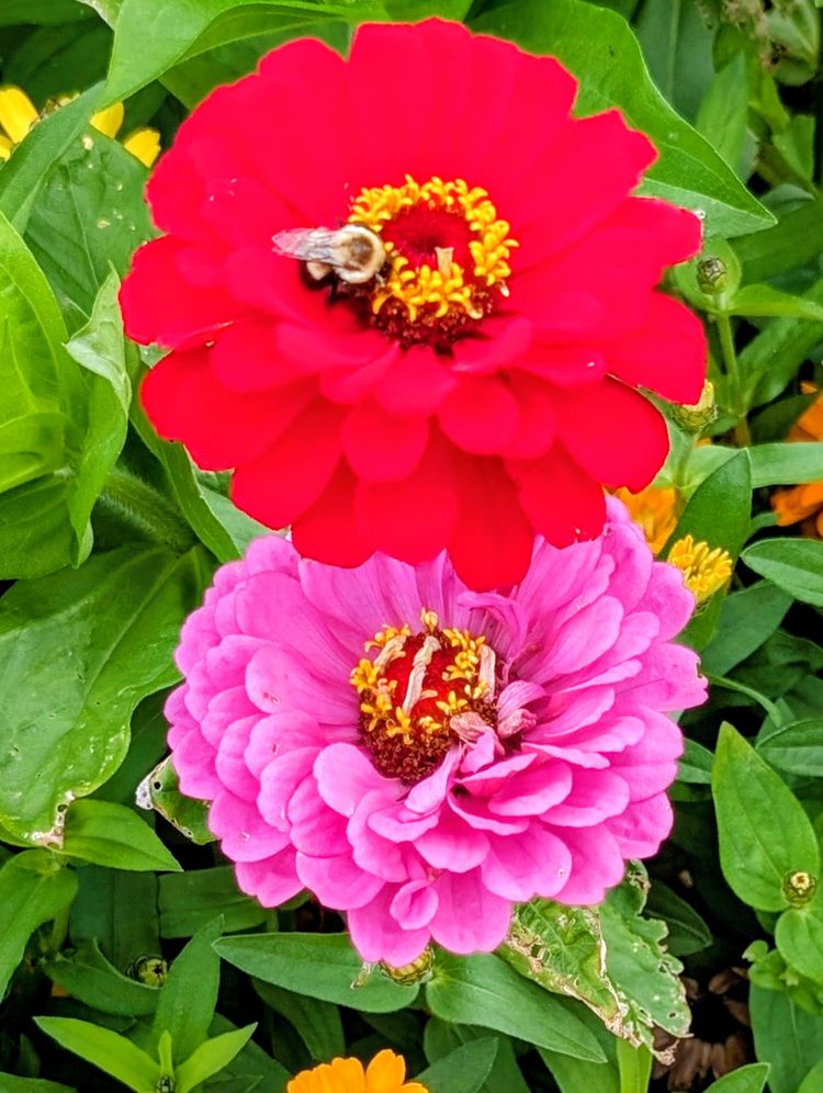 Some bonds do not speak. They stand closer when the storm arrives.