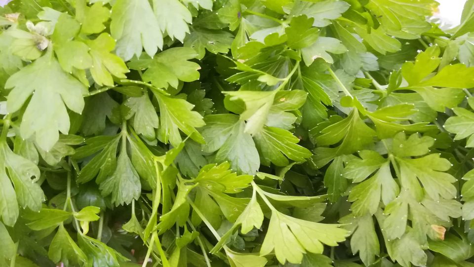 Prosta delovna mesta, razpisi in natečaji (oktober 2025)