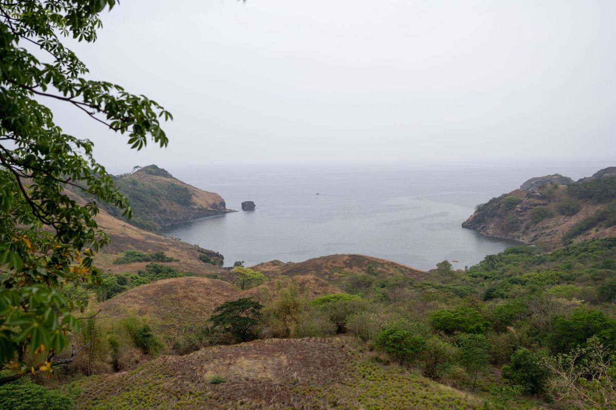 Maraming dilis sa Mariveles